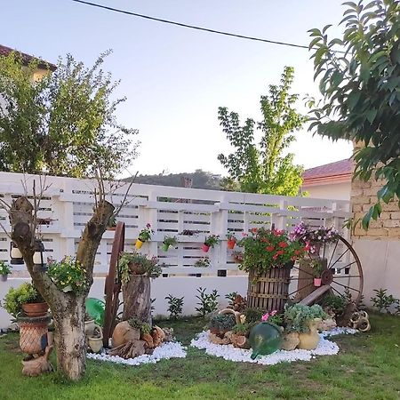 Case Di Bacco Agropoli Buitenkant foto